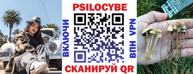 как найти Светлый Псилоцибиновые грибы ЛСД
